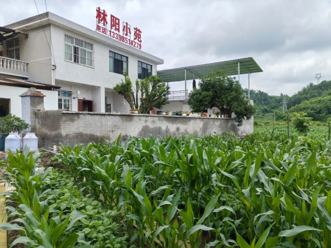 8ce318d8b03f404f5c3abe0024dd56fc.jpg 8ce318d8b03f404f5c3abe0024dd56fc.jpg