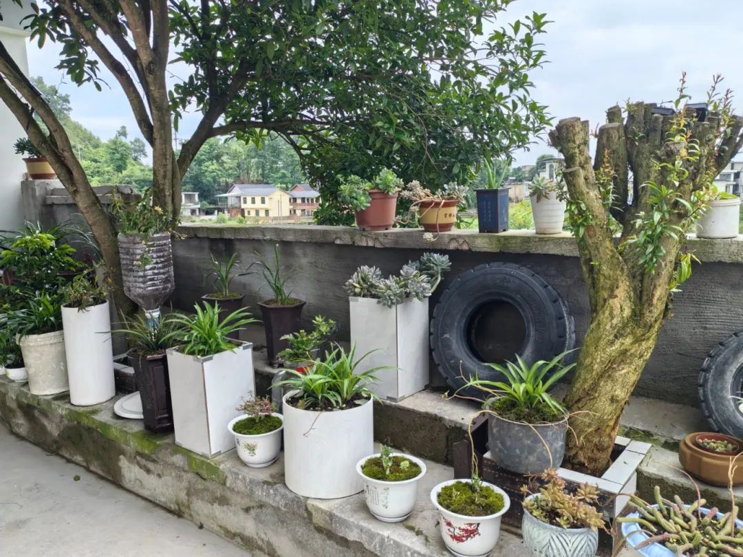 5a3196e1857952e0c77ed3e6e336c116.jpg 5a3196e1857952e0c77ed3e6e336c116.jpg