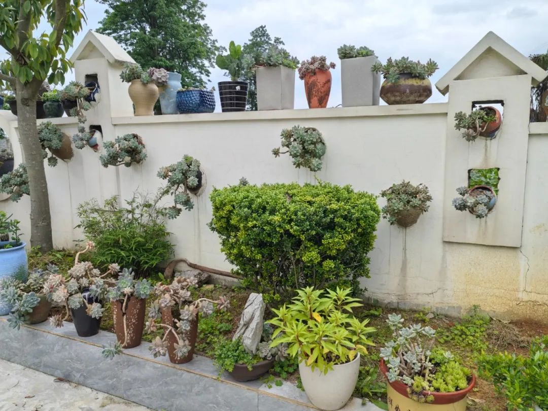 2f06596706a6052ca6f8922ea513e086.jpg 2f06596706a6052ca6f8922ea513e086.jpg