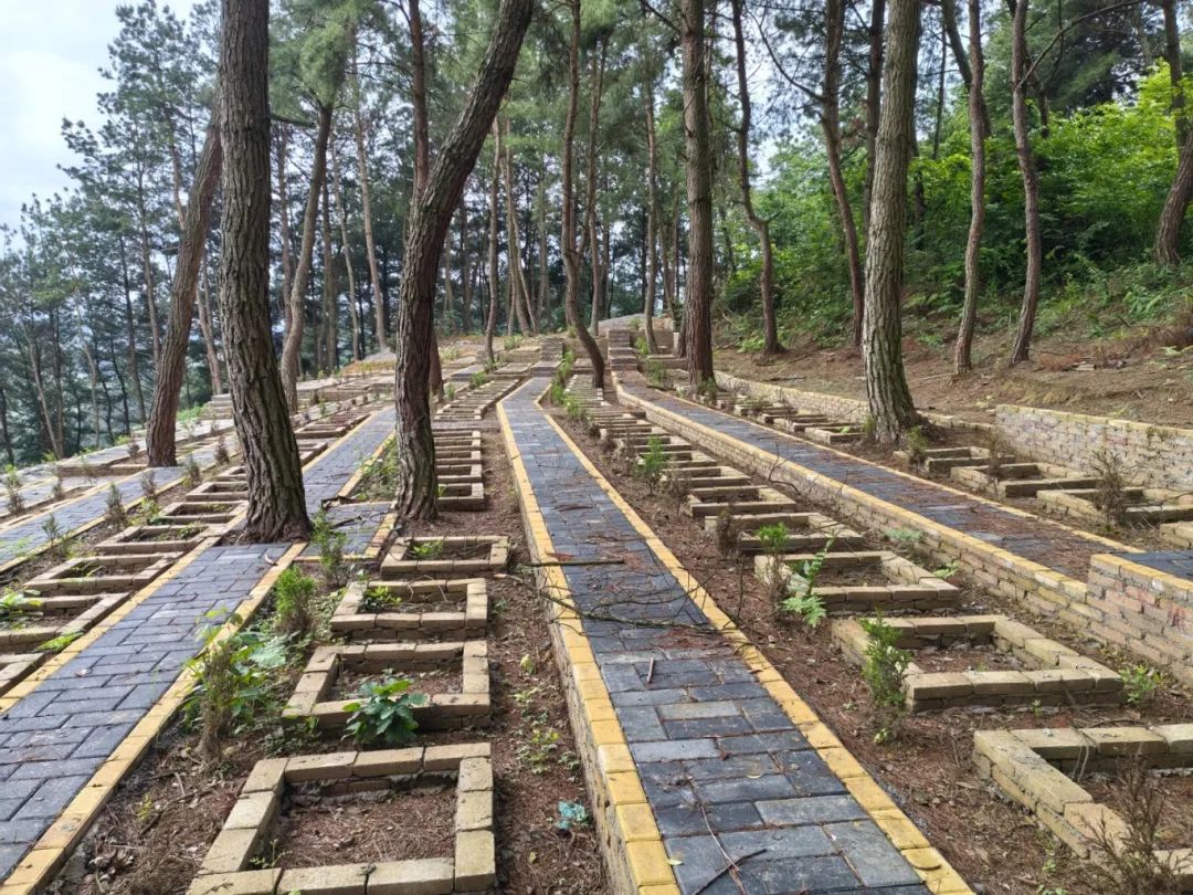 24fc5fc6725608f13f8a5fd9655ea1e5.jpg 24fc5fc6725608f13f8a5fd9655ea1e5.jpg