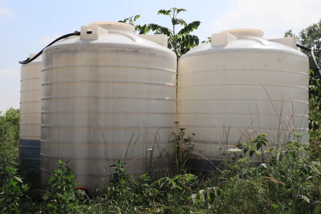 3502235936709c600ffb23b958ec4e32.jpg 3502235936709c600ffb23b958ec4e32.jpg