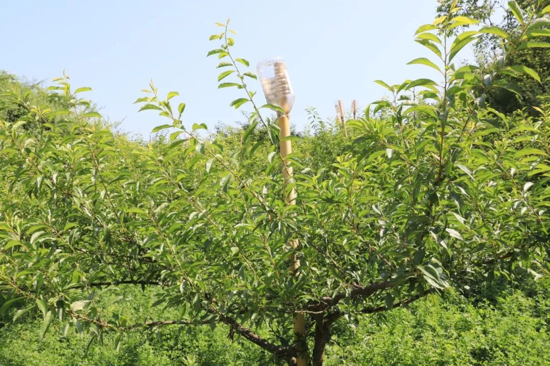 5316b458981473810974bd741e16c042.jpg 5316b458981473810974bd741e16c042.jpg