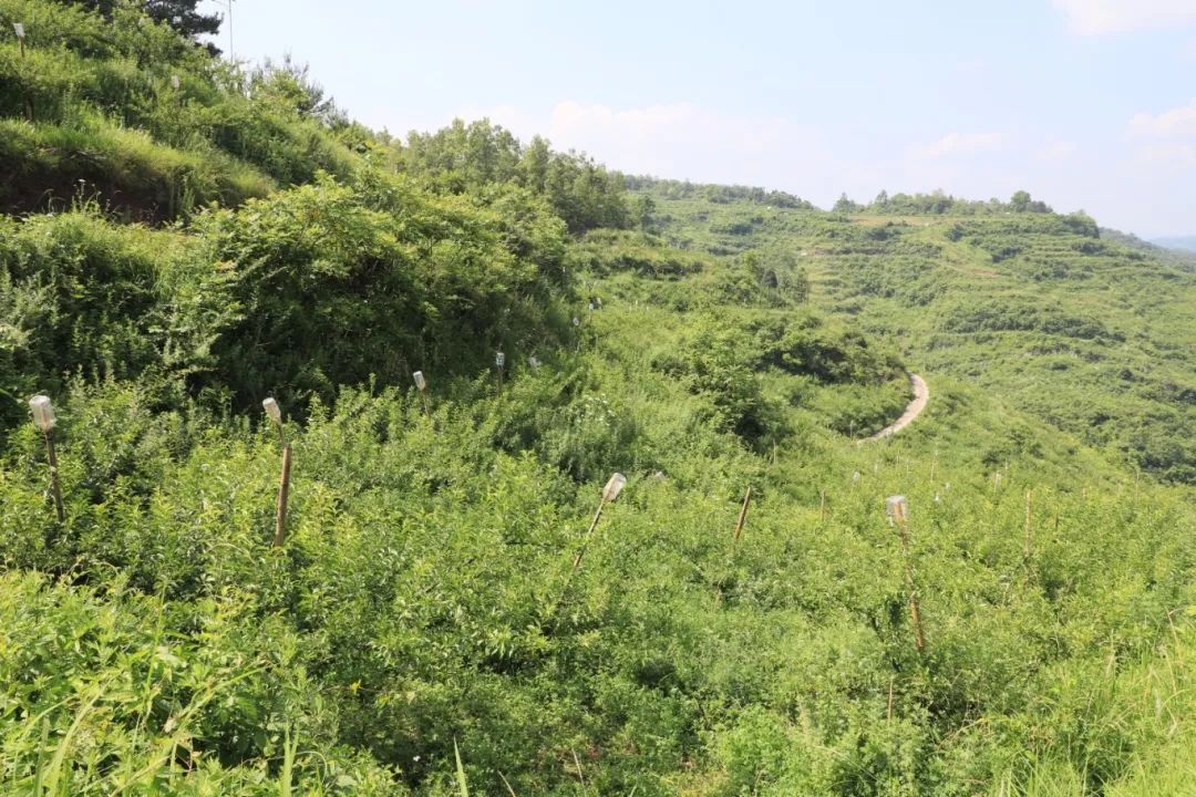 1cee403d8e260a690c99bf8807b60035.jpg 1cee403d8e260a690c99bf8807b60035.jpg