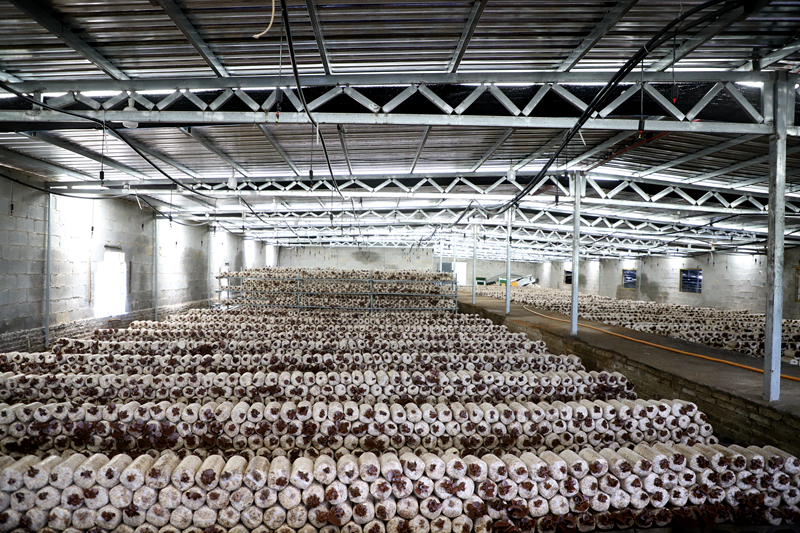 a447cb21bfaf4e650304d291f8afd6a5.png a447cb21bfaf4e650304d291f8afd6a5.png