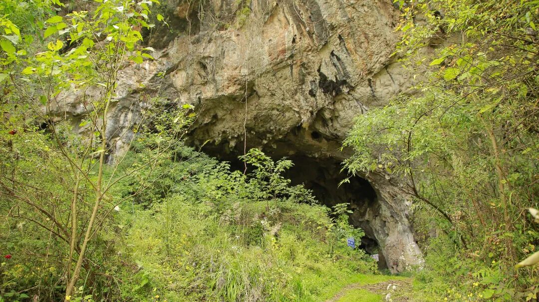 fb1859ff22caa7be9c5d6a95b04048a3.jpg fb1859ff22caa7be9c5d6a95b04048a3.jpg