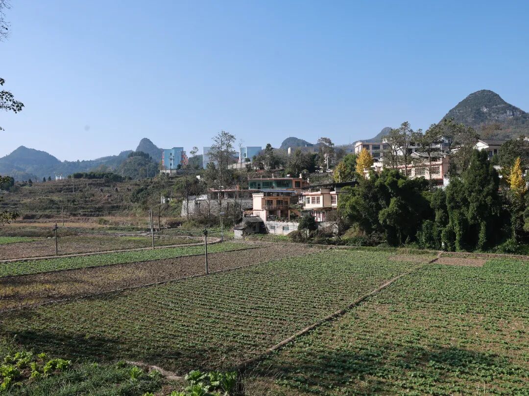 172610c05301407a958f8259bd5c0acd.jpg 172610c05301407a958f8259bd5c0acd.jpg