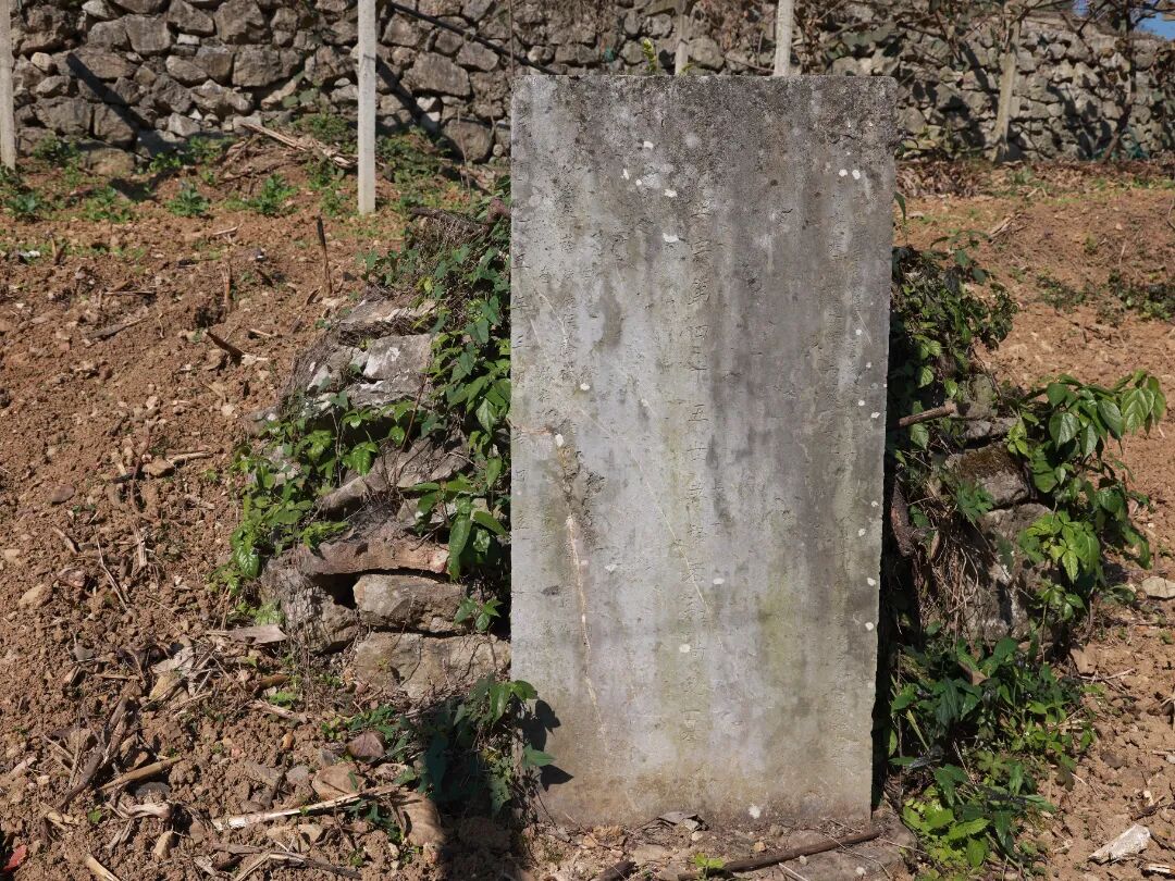 fe82d88881c5b0adb19ce47b1e78d73b.jpg fe82d88881c5b0adb19ce47b1e78d73b.jpg