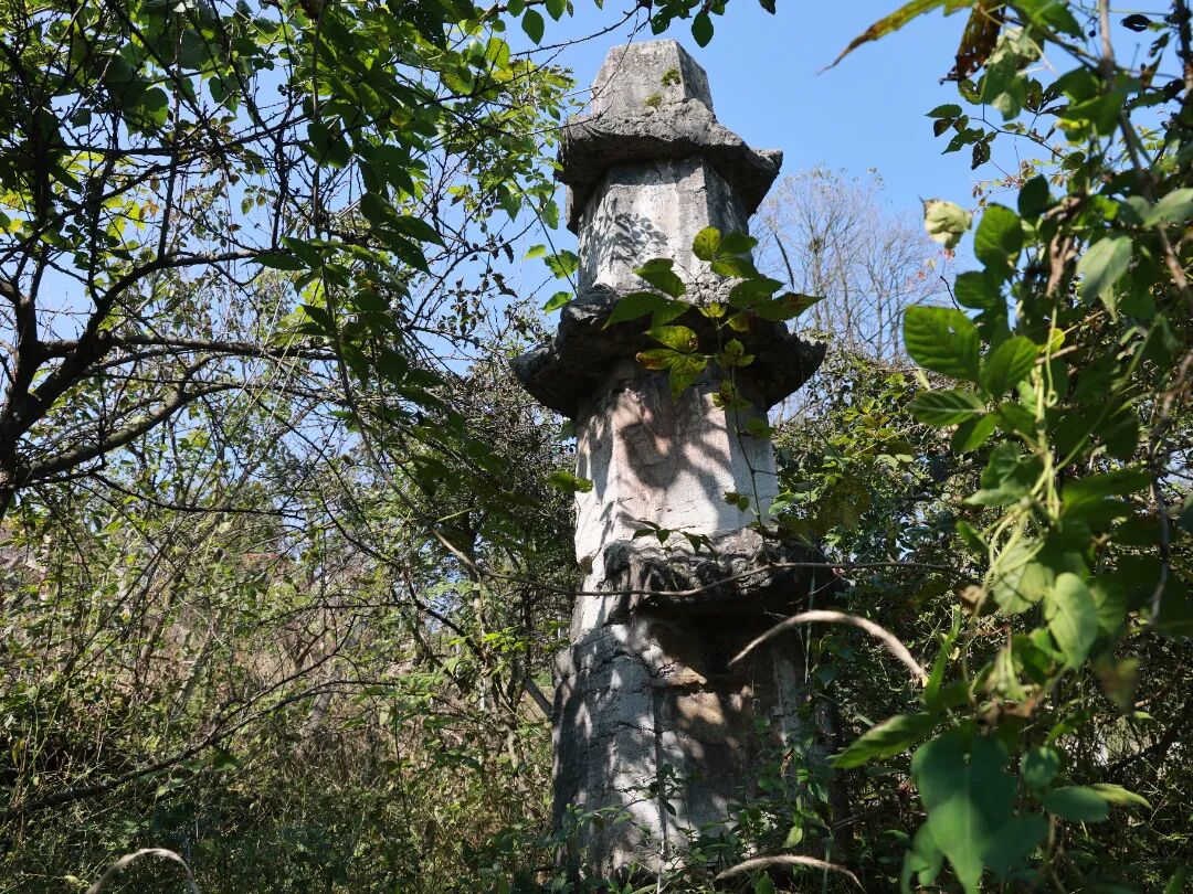 8f457d57faf3c8cc03eb452c5307bf1f.jpg 8f457d57faf3c8cc03eb452c5307bf1f.jpg