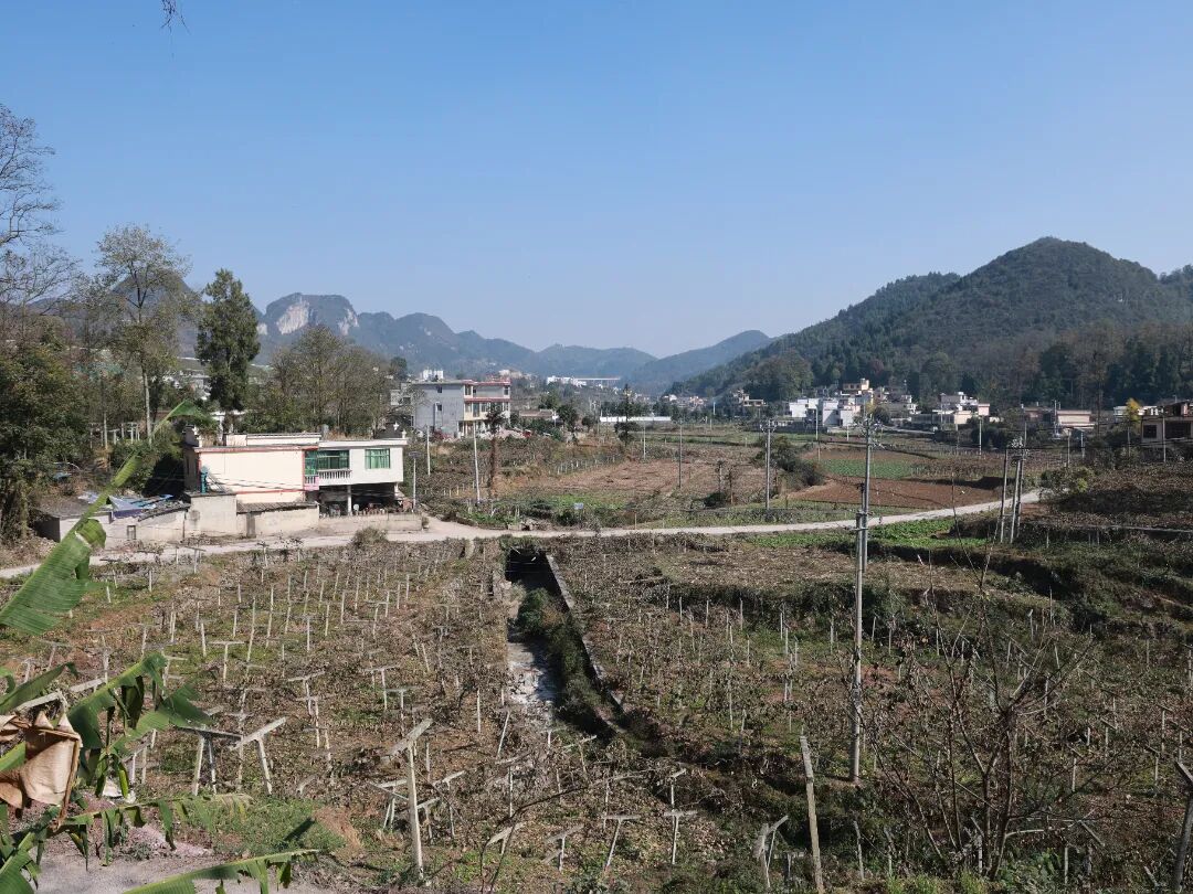 152e1dce2c260189ac3b099949e3368a.jpg 152e1dce2c260189ac3b099949e3368a.jpg